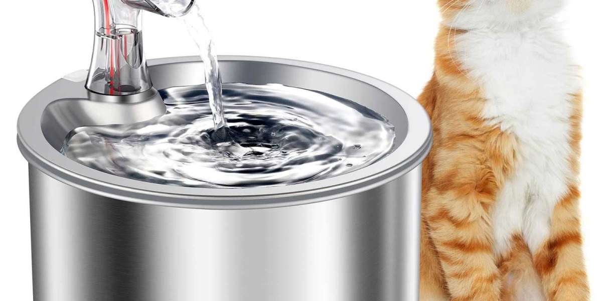 Can Pawtechpet Cat Water Fountain Manufacturer Improve Cat Hydration