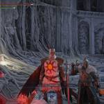 Paley Shelie Profile Picture