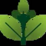 gramiti Profile Picture