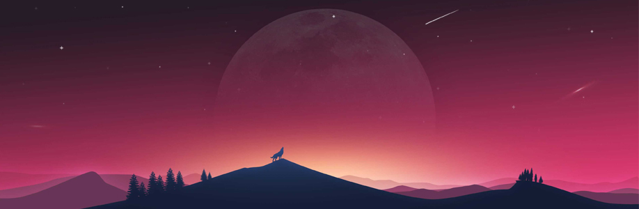 vidamcclanahan Cover Image
